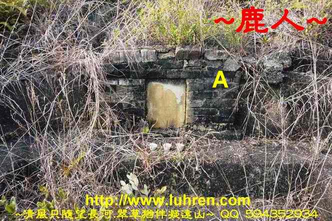 騎龍兩樣情_01.JPG 騎龍兩樣情_01.JPG