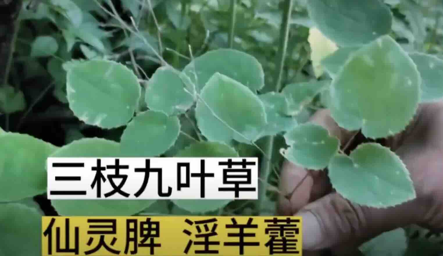 Screenshot 2025-01-19 at 12.37.34 AM.jpeg