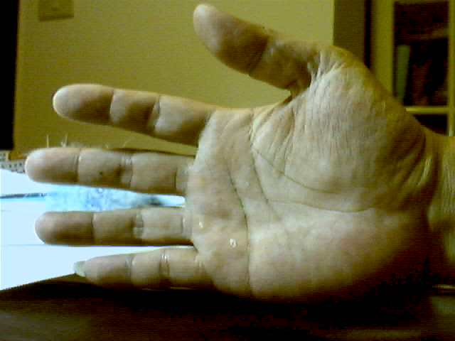 596614-圖片 52.jpg