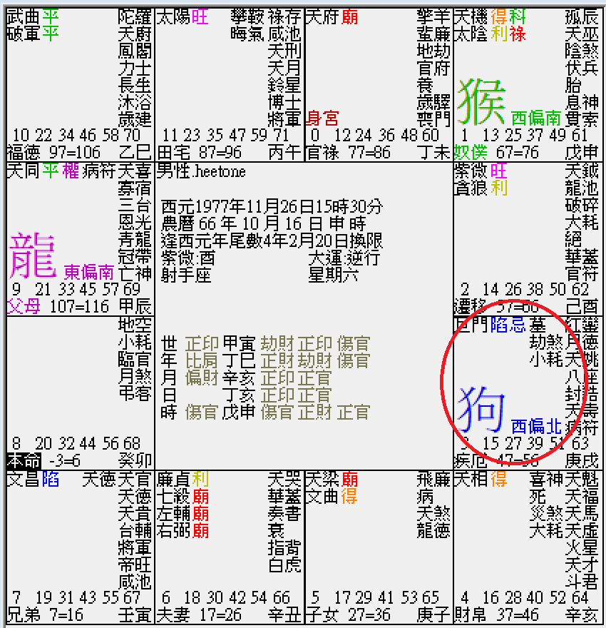 螢幕擷取畫面 2025-01-10 114914.png